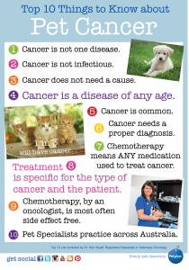 10 Things Pet Cancer